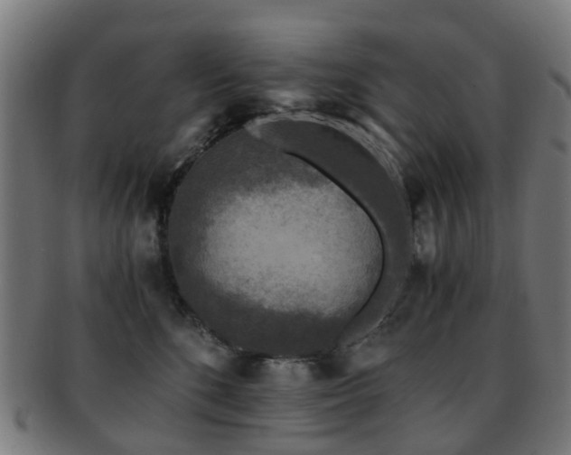 X0000091900520200709051405