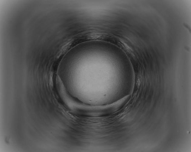 X0000091900524200709051405