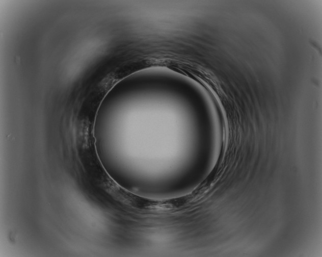 X0000091900525200709051405