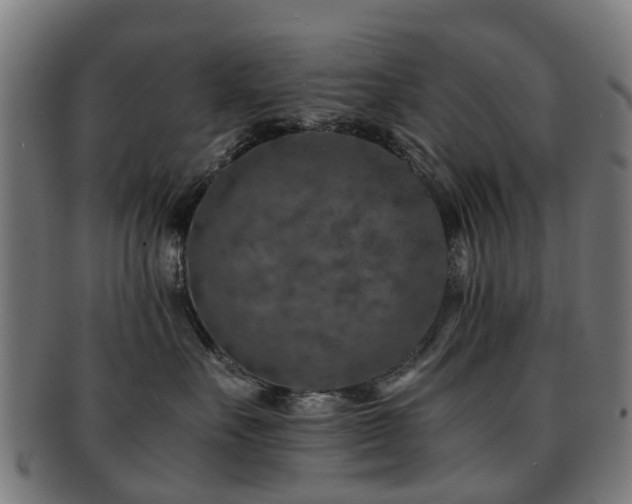 X0000091900527200709051405