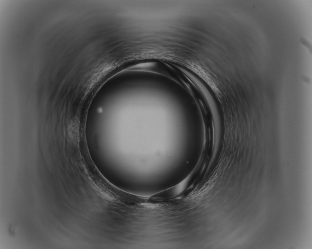X0000091900530200709051404