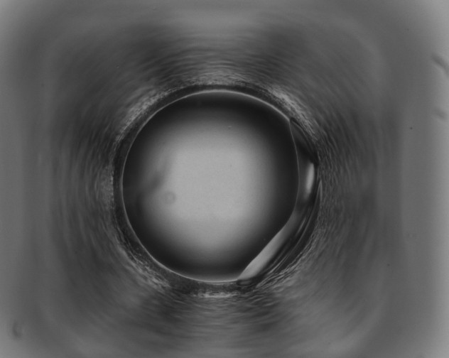 X0000091900531200709051404