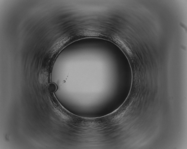 X0000091900533200709051404