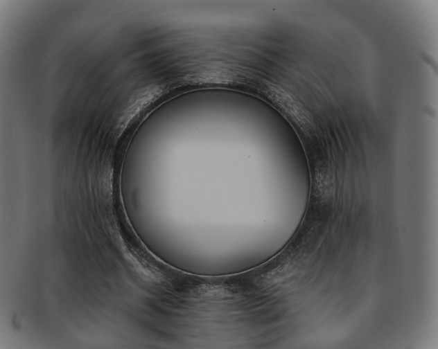 X0000091900534200709051404