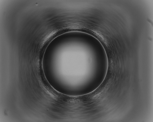 X0000091900535200709051404