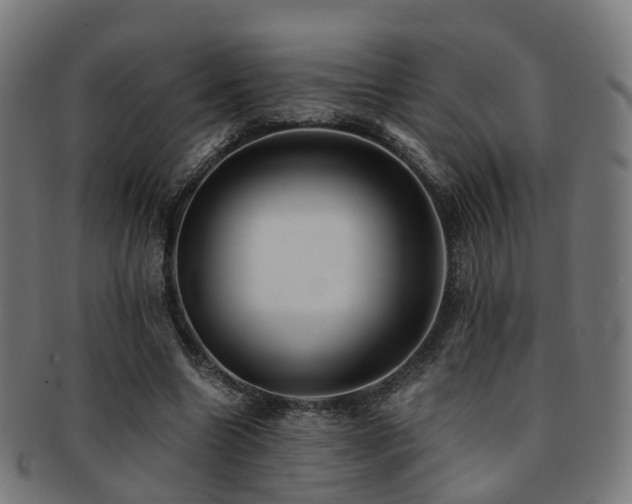 X0000091900538200709051405