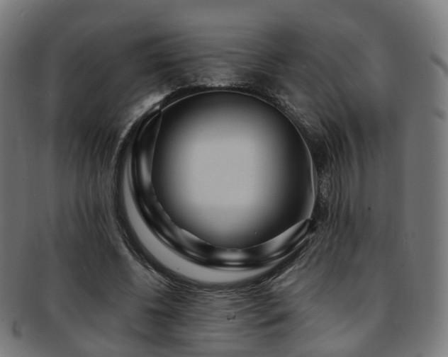 X0000091900540200709051405