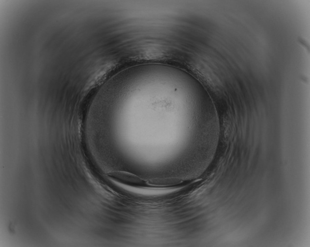 X0000091900542200709051405