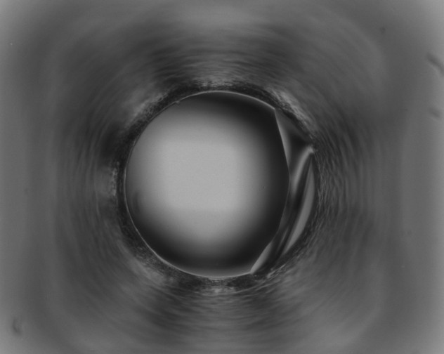 X0000091900543200709051405