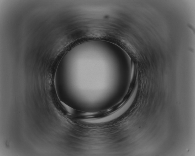 X0000091900544200709051405
