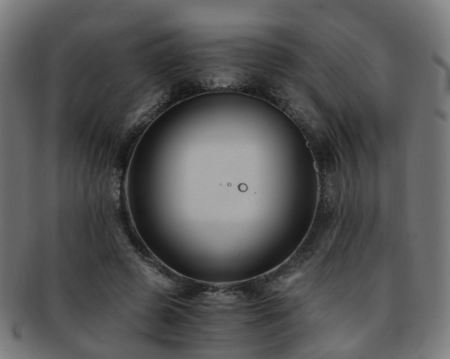 X0000091900545200709051405