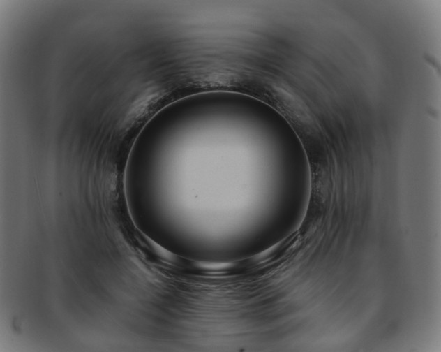 X0000091900548200709051405
