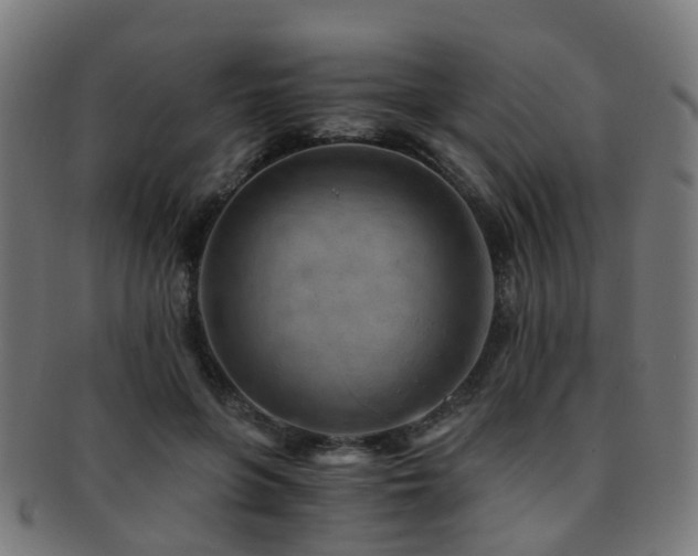 X0000091900551200709051405