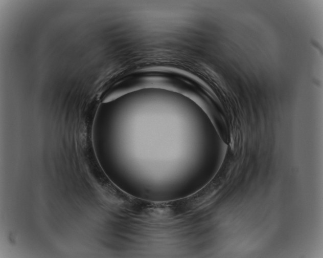 X0000091900552200709051405