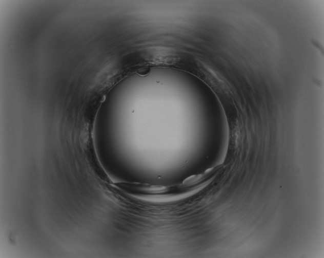 X0000091900554200709051405