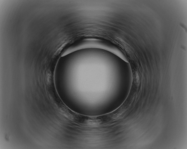 X0000091900556200709051405