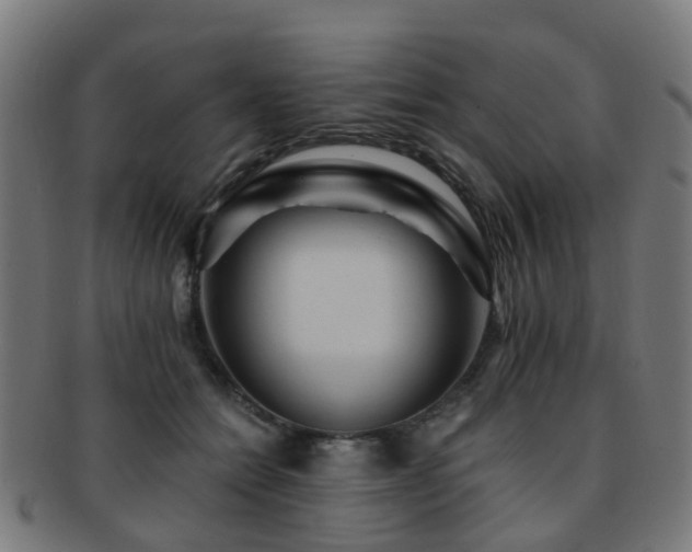 X0000091900558200709051405