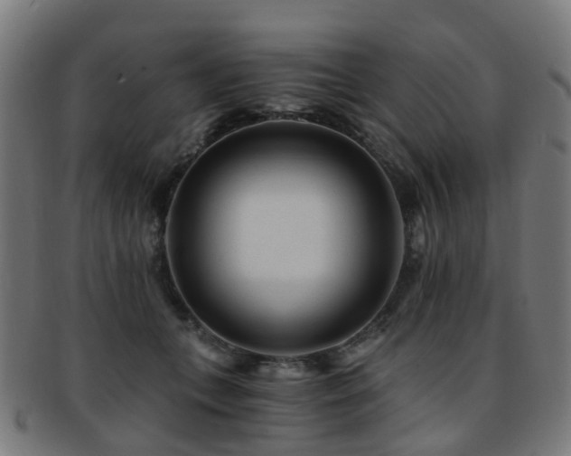 X0000091900559200709051405