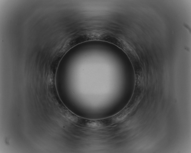 X0000091900561200709051405