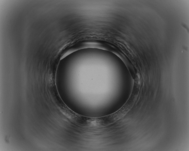 X0000091900564200709051405