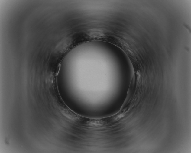 X0000091900567200709051405