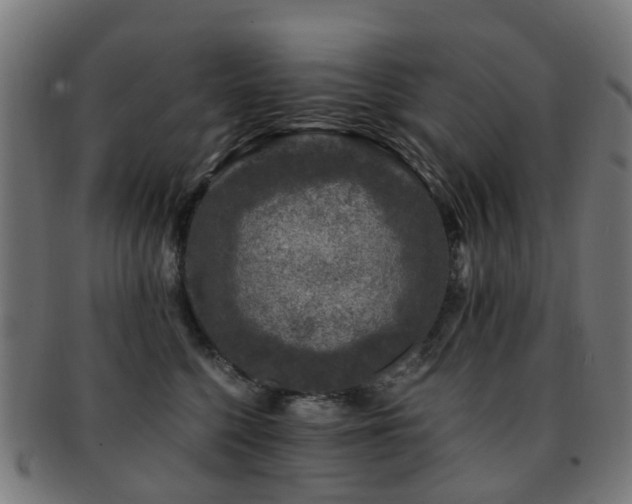 X0000091900568200709051405