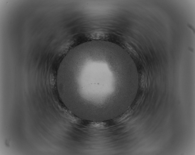 X0000091900569200709051405