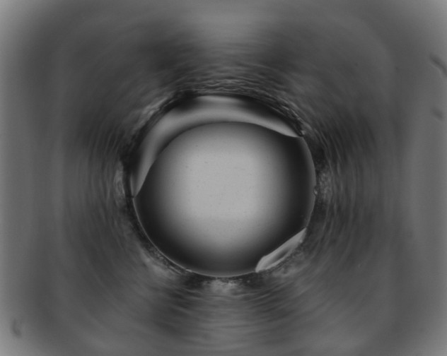 X0000091900570200709051405