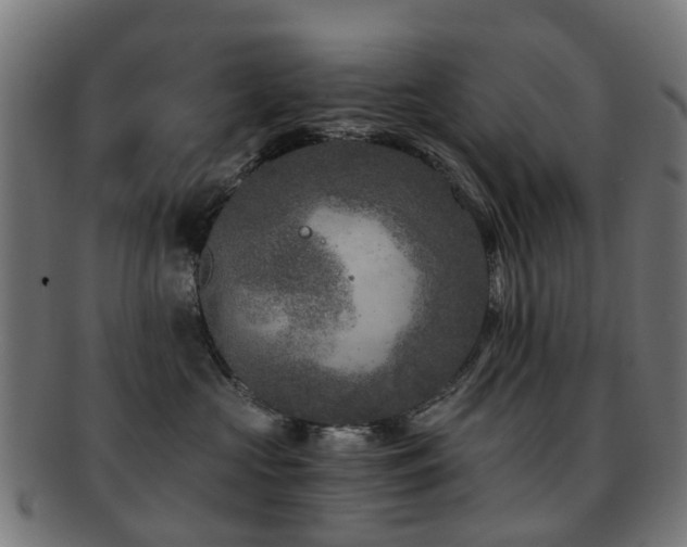 X0000091900573200709051405