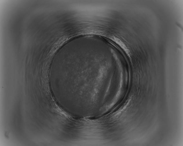 X0000091900577200709051404