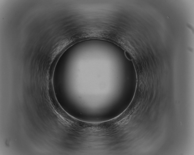 X0000091900578200709051404