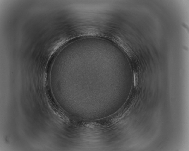 X0000091900579200709051404