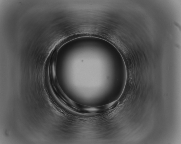 X0000091900580200709051404