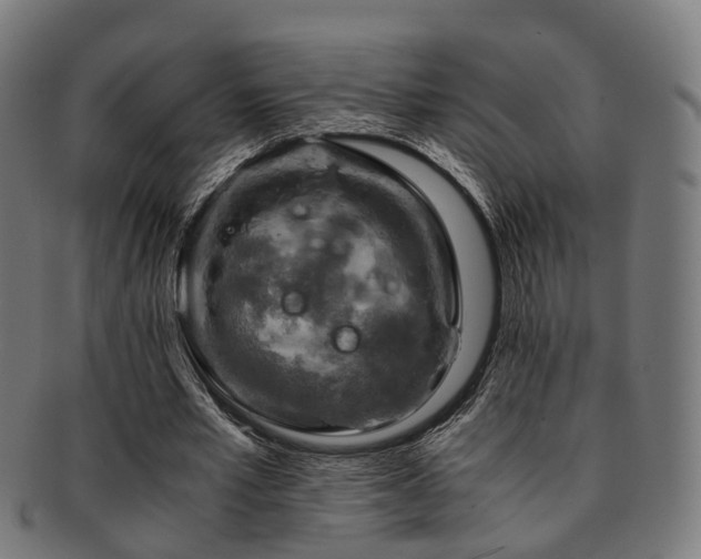 X0000091900581200709051404