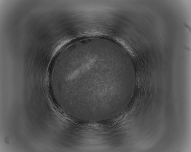 X0000091900583200709051404
