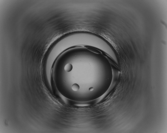 X0000091900584200709051404