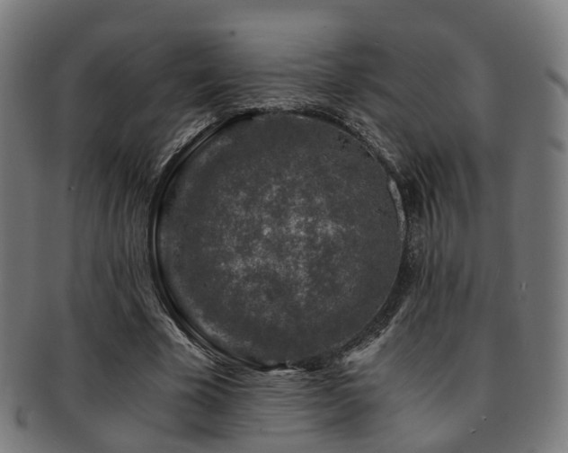 X0000091900585200709051404