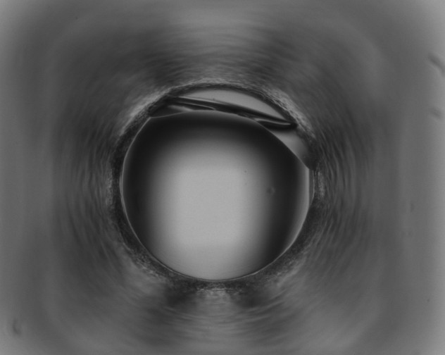 X0000091900588200709051404