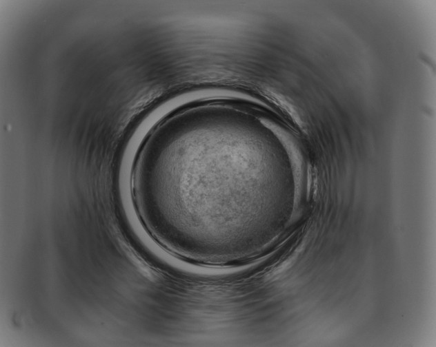 X0000091900589200709051404