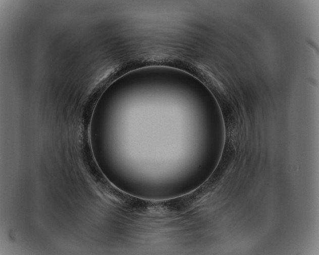 X0000091900591200709051404