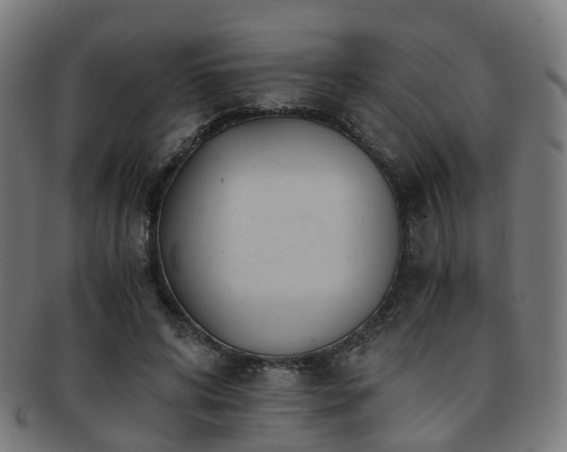 X0000091900592200709051404