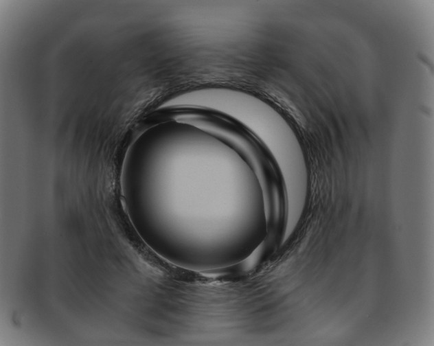 X0000091900593200709051404
