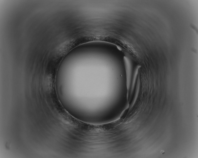 X0000091900594200709051404