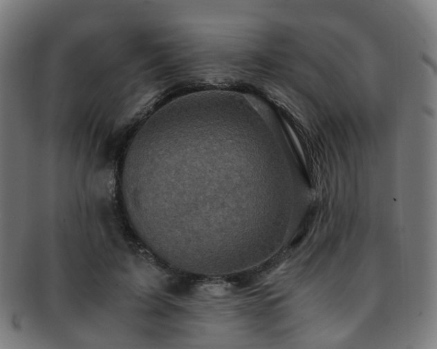 X0000091900595200709051404