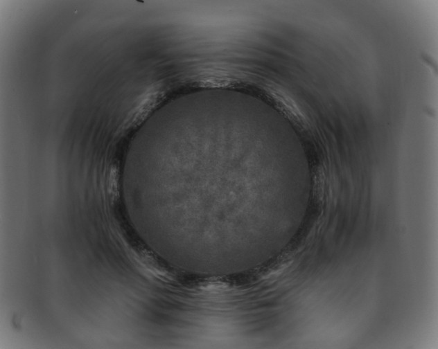 X0000091900598200709051404
