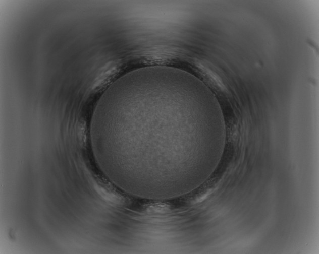 X0000091900599200709051404