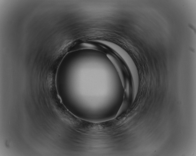 X0000091900600200709051404