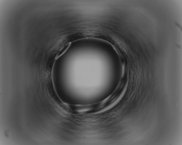 X0000091900601200709051404