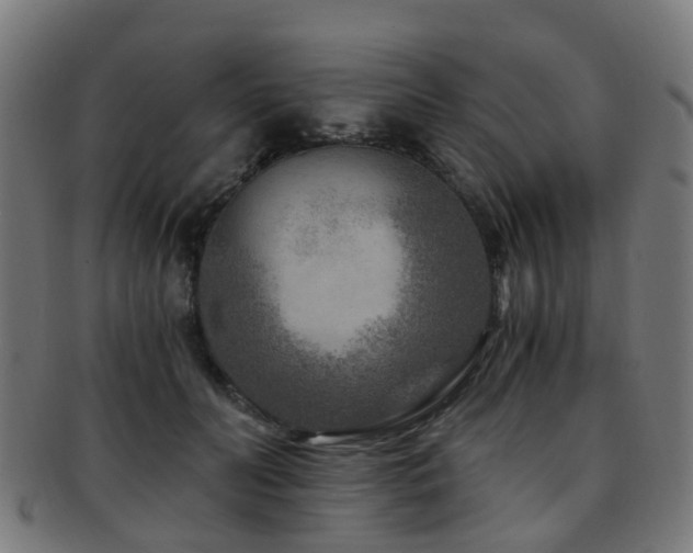 X0000091900606200709051404