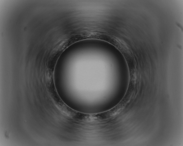 X0000091900607200709051404